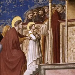 Homélie de la fête de l'Entrée de la vierge Marie au Temple - Mgr Martin 2025