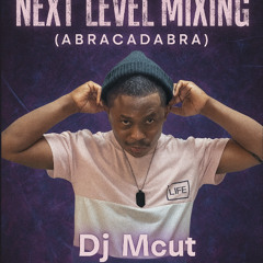 NEXT LEVEL MIXING SH%T  (Amapiano Mixtape)