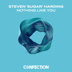 Nothing Like You (Extended Mix)