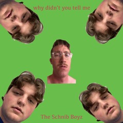 Why Didn't You Tell Me (feat. Lil Azzie P)