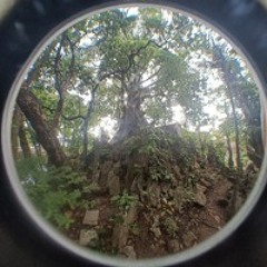 160 BPM Jungle Mix - JEMMIX 03