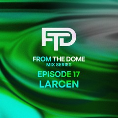 FTD_017 - LARCEN