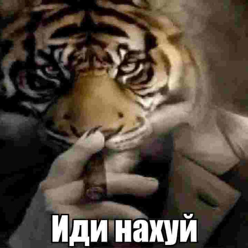 unison feat.@гламурныйподонок