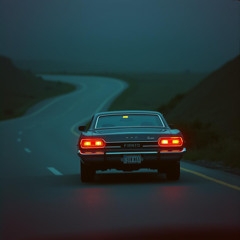 Turn Signals