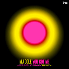 MJ Cole - You Got Me (HIDDEN VISIONS Remix)