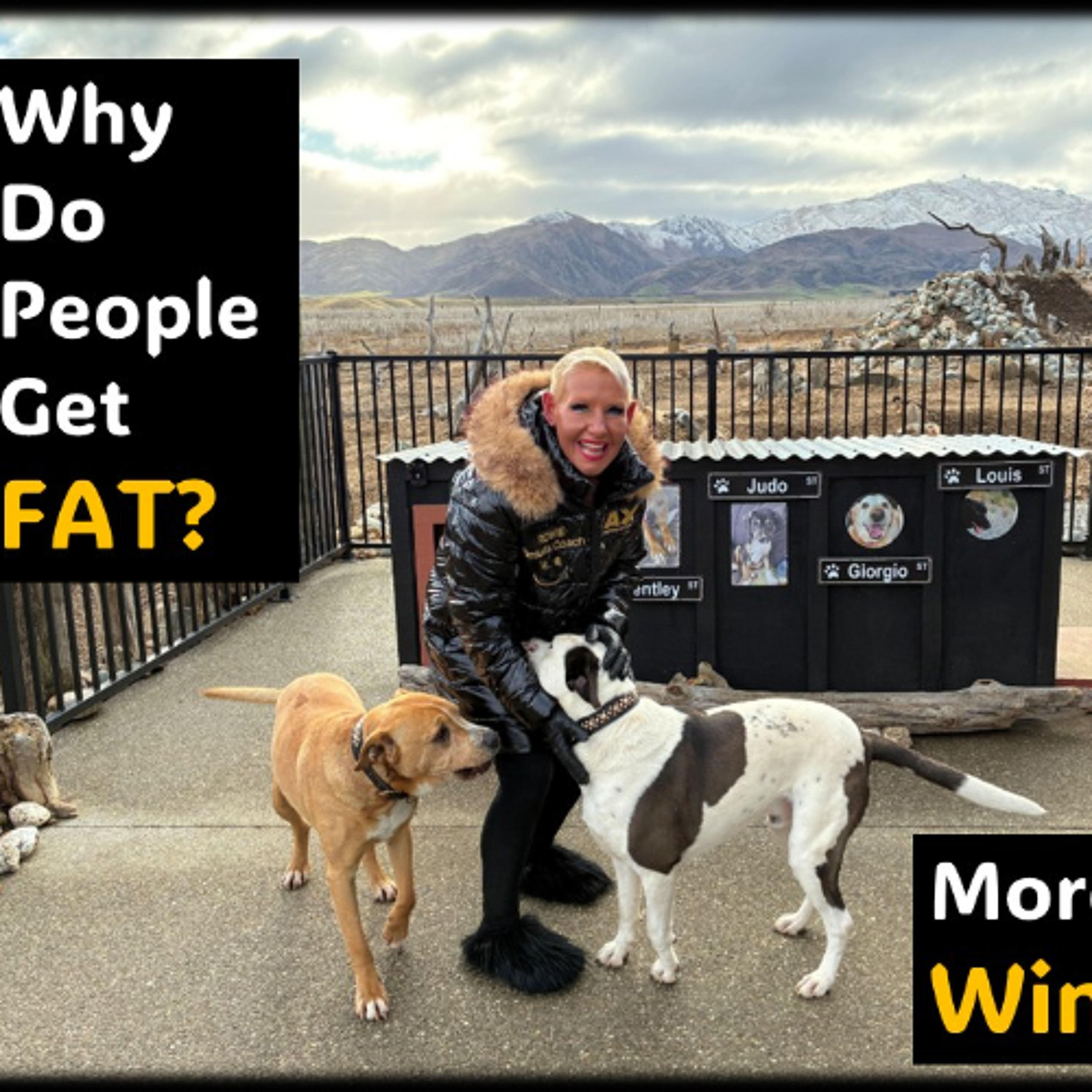 FATTER in Winter- WHY episode artwork