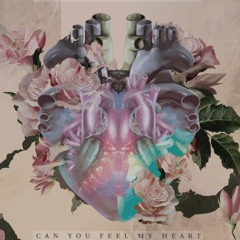 Marie.Celestine-Can you feel my Heart, Cover. Rehazentrum-Hardtekk remix [180er]