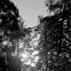 defined unemotional frequencies