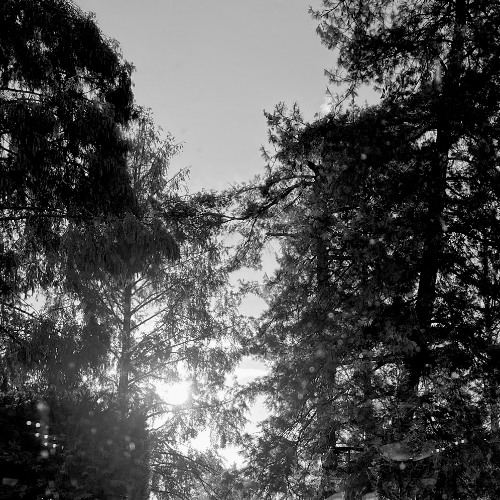 defined unemotional frequencies