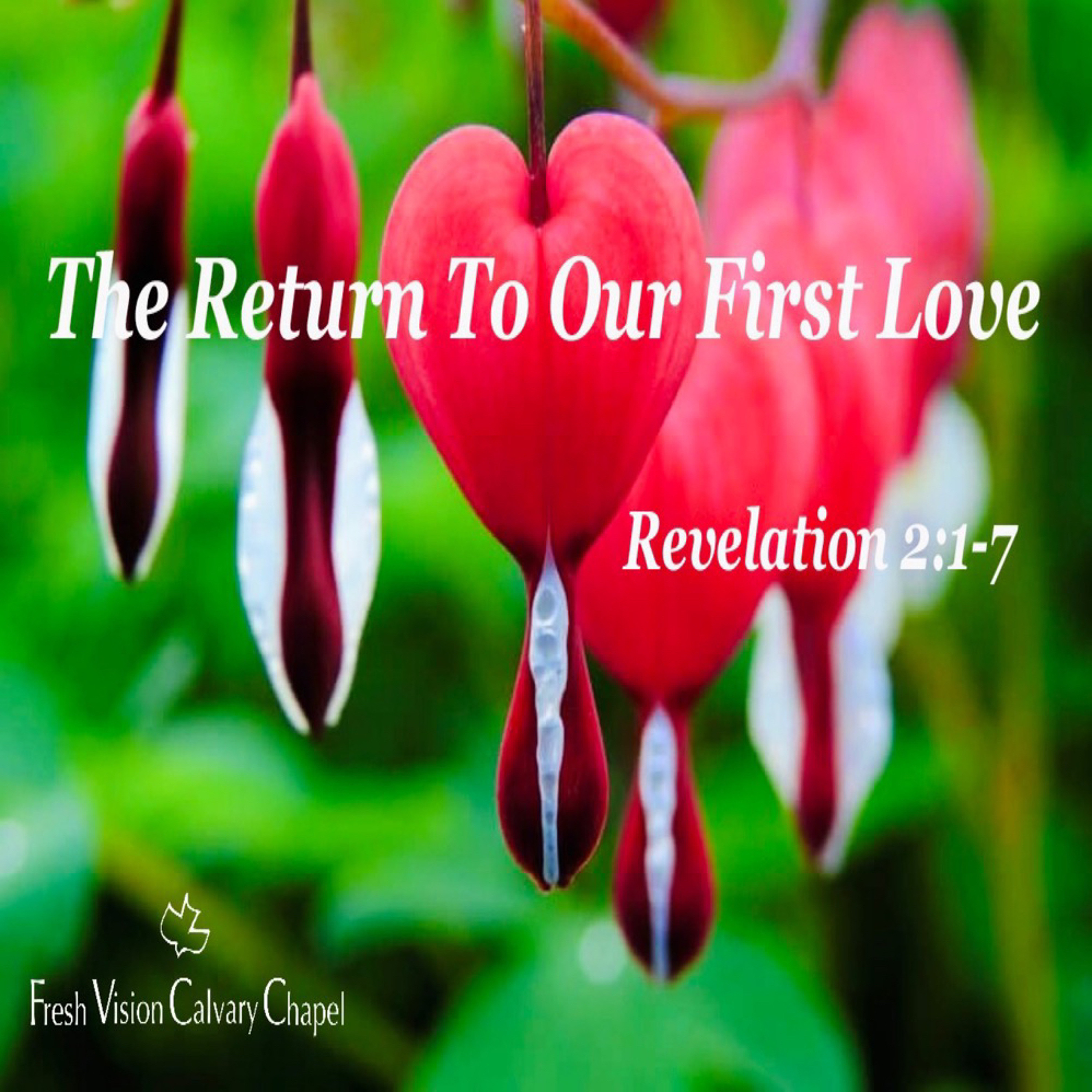 The Return To Our First Love episode artwork