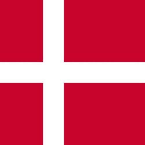 REVOLUÇÃO DOS MENINO DA DINAMARCA 🇩🇰 (DJ'S BN VINTE2 & RC SUCESSADA)