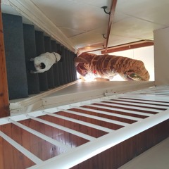 Bonville Servo - Banana's 99c KG