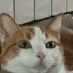 quiero k me adores master project.wav