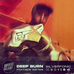 DIGGERS DELIGHT // Deep Burn Mix with Silverfonic