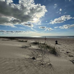 Melodic Seaside IV