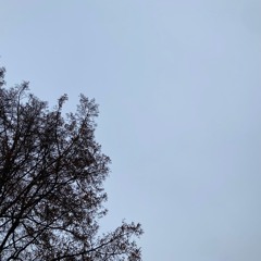 Back to Life feat. NËSTRÄ & Maggie Lou May