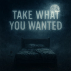 Take What You Wanted