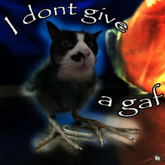 хочу хавать