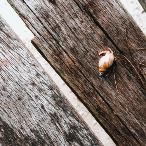 Ramta Jogi - Remix by AADI