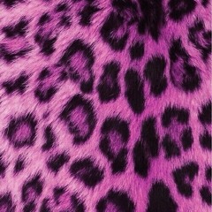 I Will (the beatles cover)