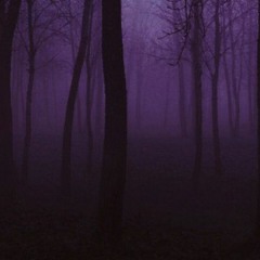 ih8u (internet joe + northeast lights)