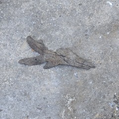 This Old Chunk of Coal