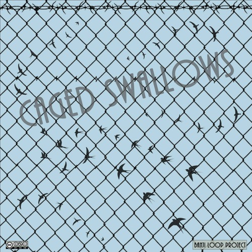 Caged Swallows
