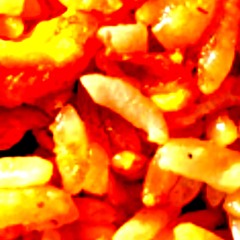 PORK FRIED RICE [[FEAT. C80-MIDNIGHT]] [[HEL!]]