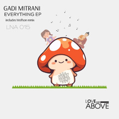 Premiere: Gadi Mitrani - Everything (Wolfson Remix) [Love and Above]