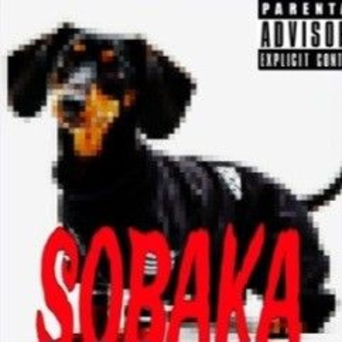 sobaka