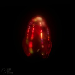 Andrew Krasilnikov - Bloody Belly Comb Jelly / RAINY018