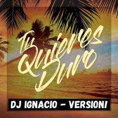 Tu Quieres Duro - Hector El Father (DjIgnacioOld!)