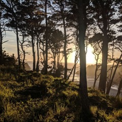 11 june 21 stream audio — ambient clip