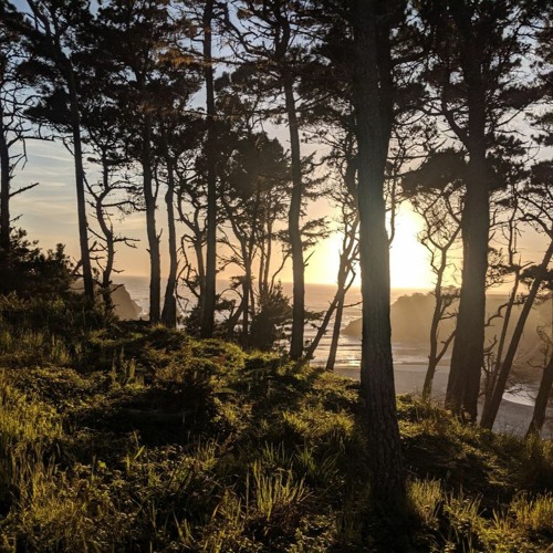 11 june 21 stream audio — ambient clip
