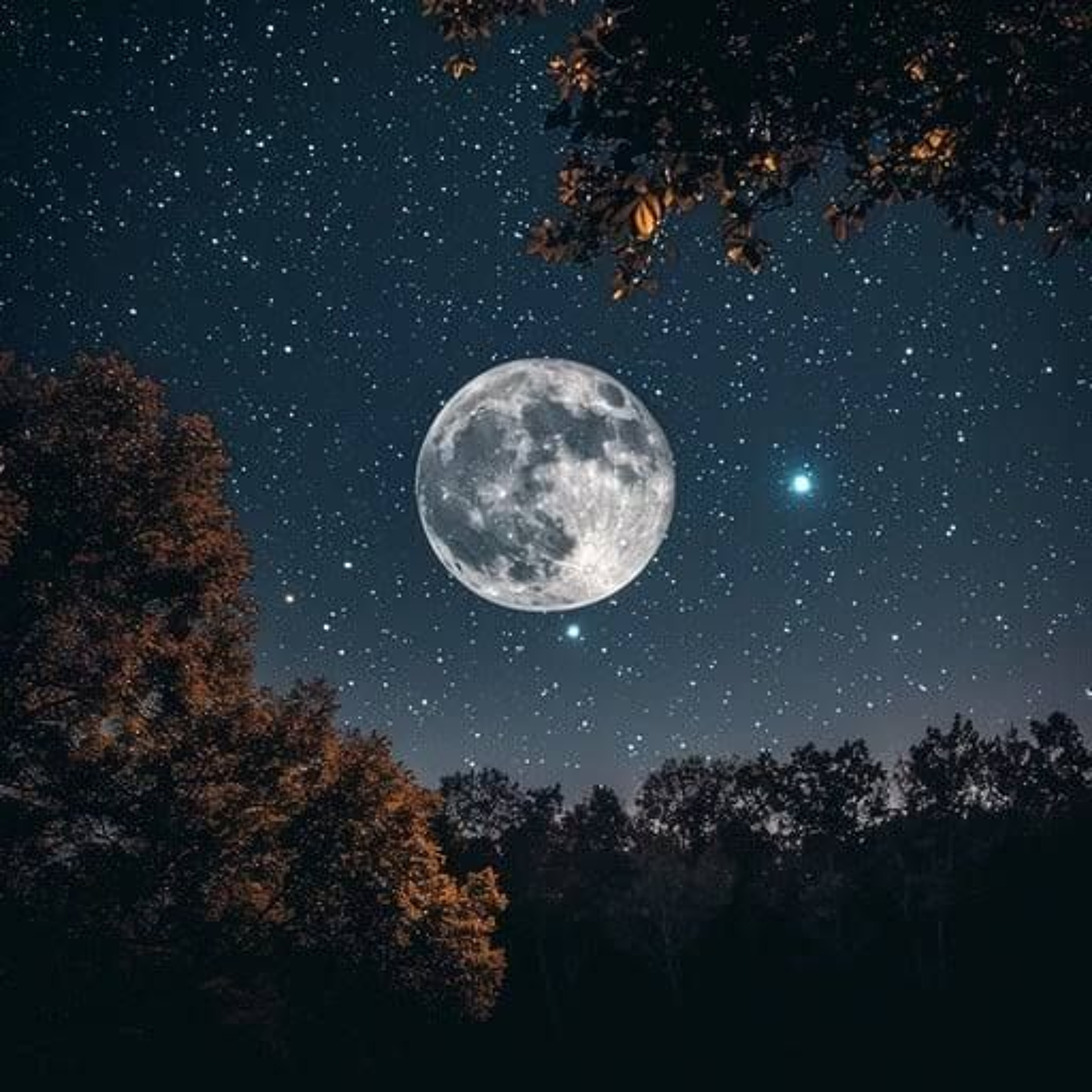 Tender is the night 2026 episode artwork