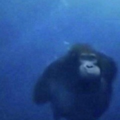 Life Could Be A Dream