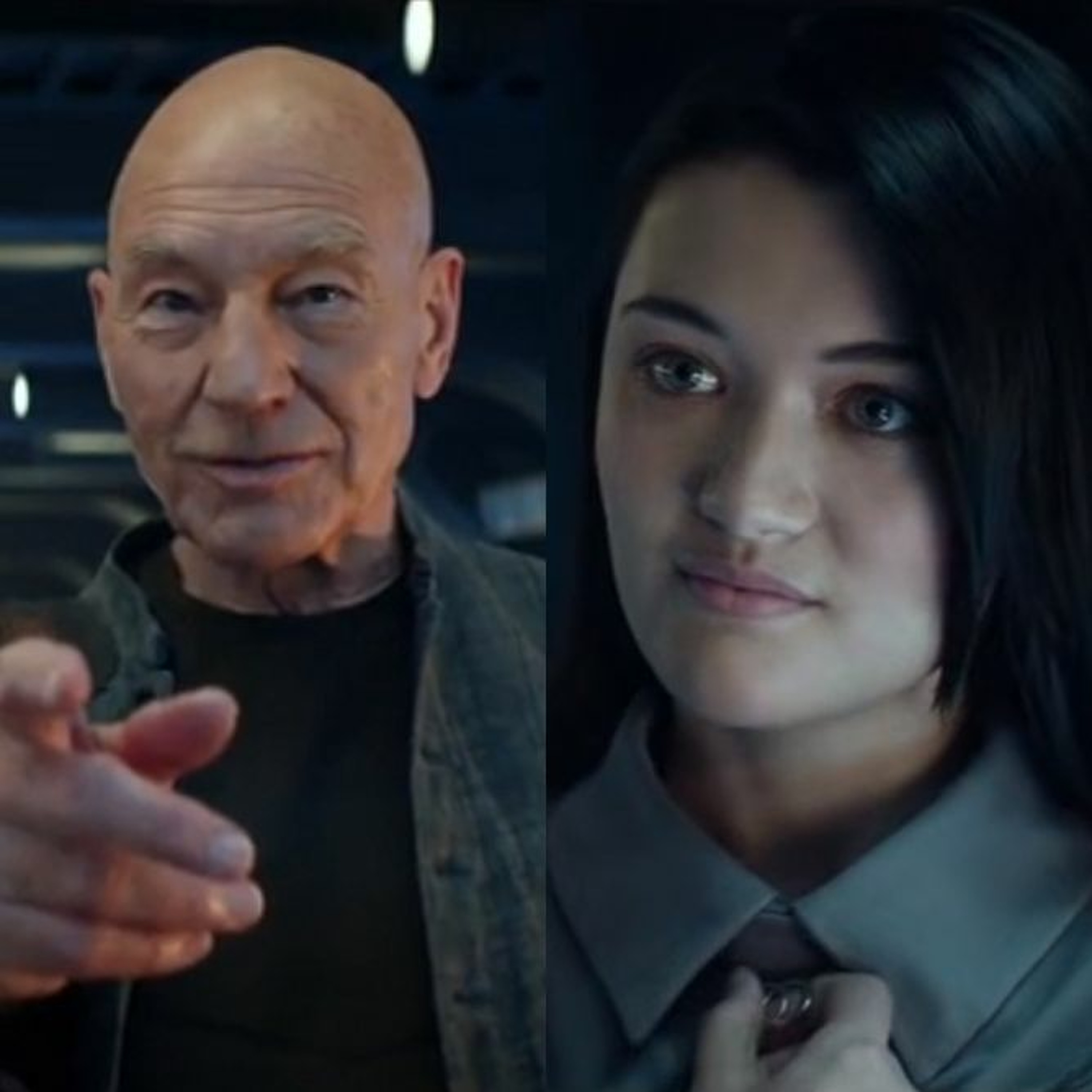 A Star to Steer Her By