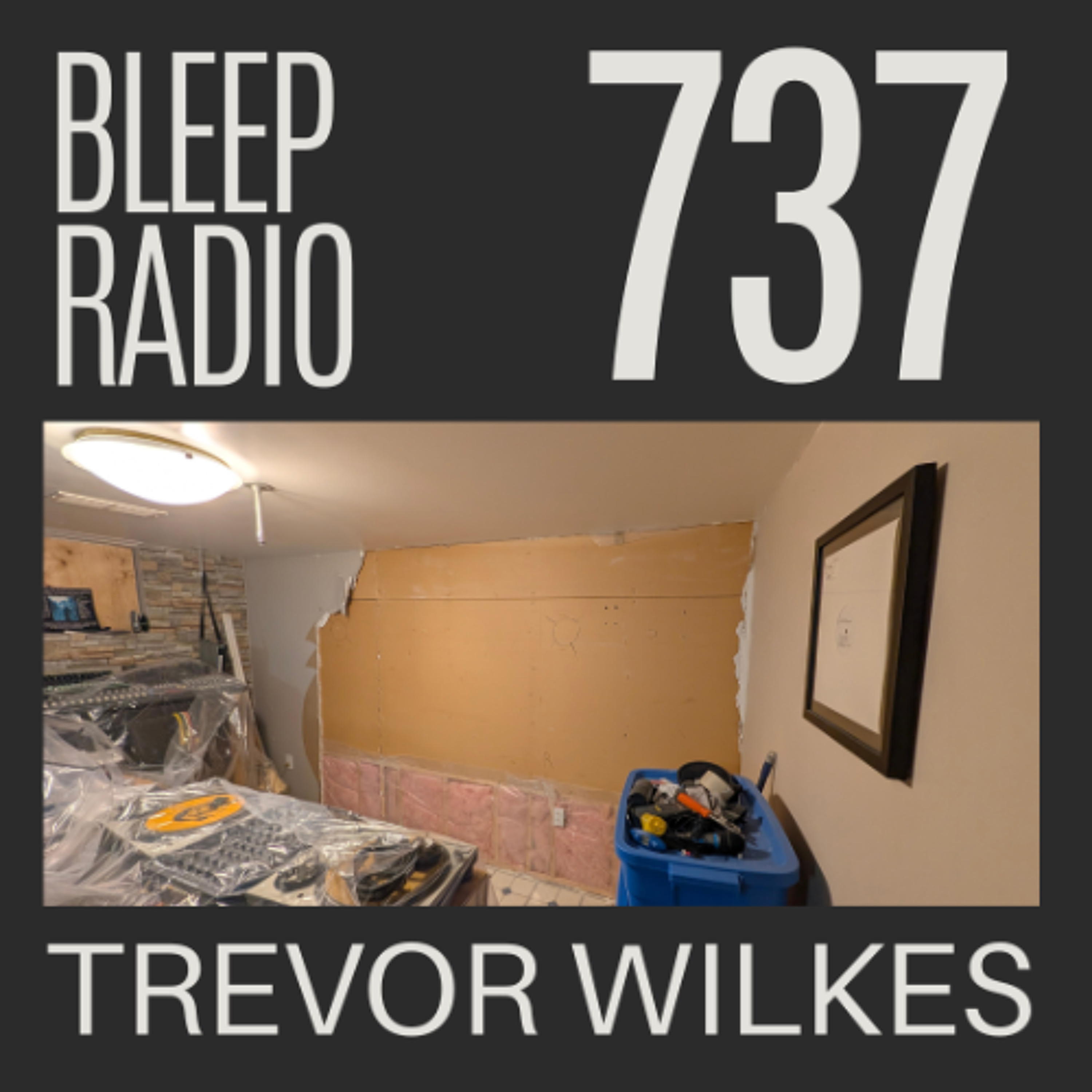 Bleep Radio #737 - Trevor Wilkes [Damn Skips!] episode artwork