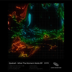 Qwëzall - What the Moment Holds EP -  [AM13] - Previews