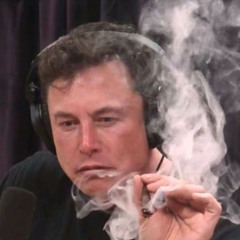 Csibész  - Elon Musk