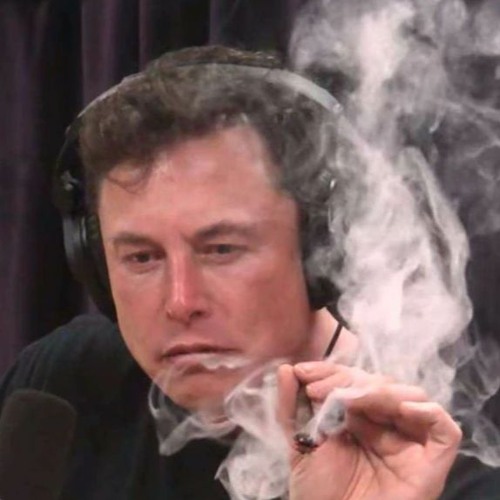 Csibész  - Elon Musk