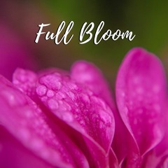 Full Bloom (feat. poet K. Renee Robb)