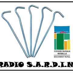 Radio Sardine 4