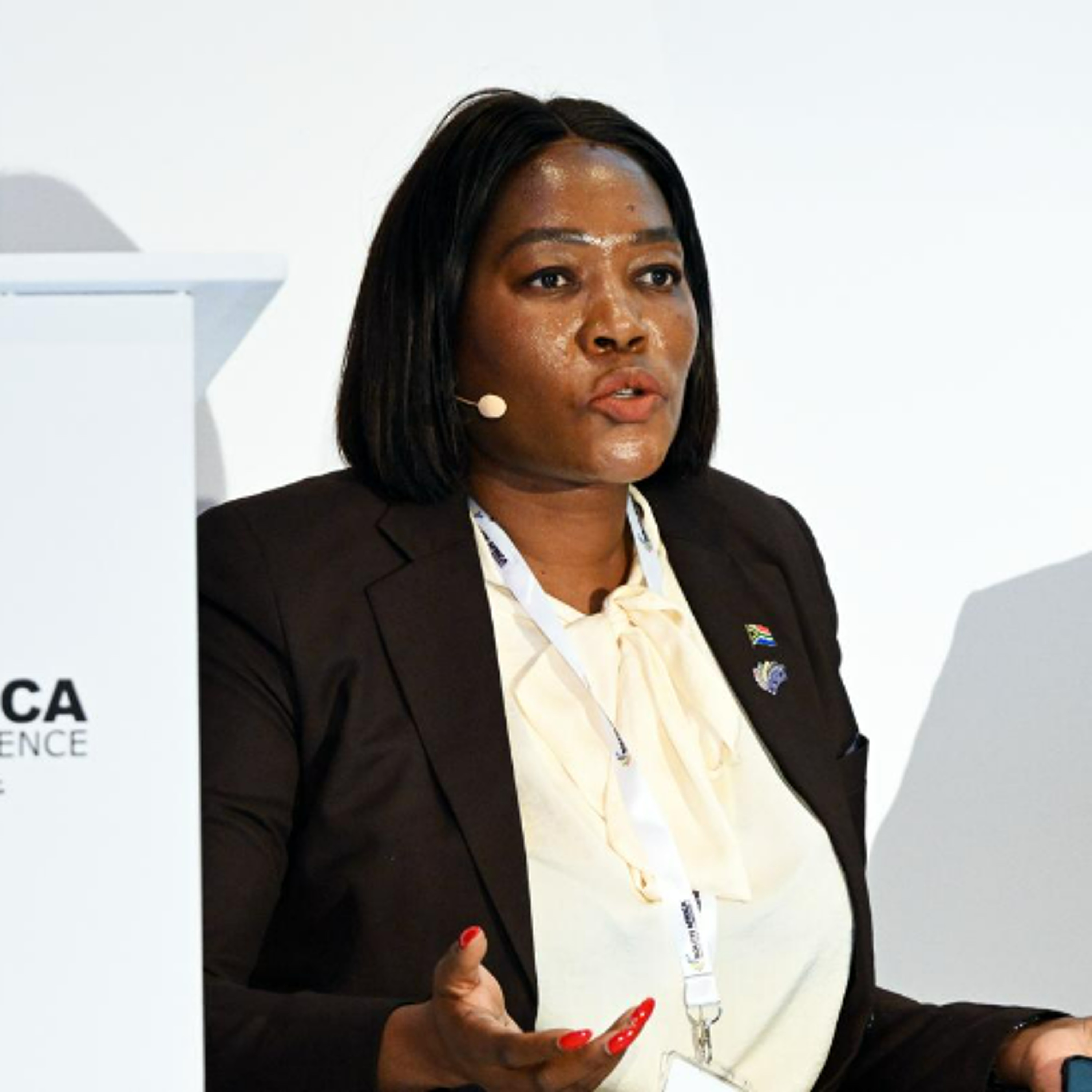 Deputy Minister Thandi Moraka SAIC Panel Discussion