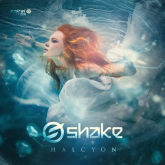 Shake - Halcyon (​​SPIT286 - Spiral Trax)