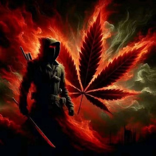BASS LINE RIDDIM