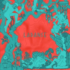 Premiere: Fringe Society - I Have A Heart For Stray Dogs [Hard Fist]