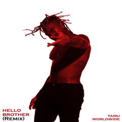 Hello Brother (Remix)