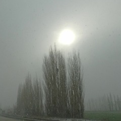 Afşin Akyol - Nasır