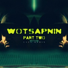 Blazer Boccle - Wotsapnin, Pt. 2 (CASA Remix)